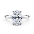 Cari - 14K White Gold Oval Diamond Engagement Ring