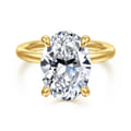 Cari - 14K Yellow Gold Oval Diamond Engagement Ring