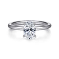 Cari - Platinum Oval Diamond Engagement Ring