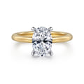 Cari - 14K White-Yellow Gold Hidden Halo Oval Diamond Engagement Ring