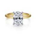 Cari - 14K White-Yellow Gold Hidden Halo Oval Diamond Engagement Ring