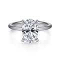 Cari - Platinum Hidden Halo Oval Diamond Engagement Ring