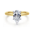 Cari - 14K White-Yellow Gold Hidden Halo Pear Shape Diamond Engagement Ring