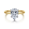 Cari - 14K White-Yellow Gold Pear Shape Diamond Engagement Ring