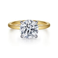 Cari - 14K White-Yellow Gold Round Diamond Engagement Ring