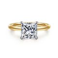 Cari - 14K White-Yellow Gold Princess Cut Diamond Engagement Ring