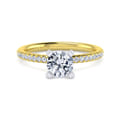 Emberlynn - 14K White-Yellow Gold Round Cut Diamond Engagement Ring