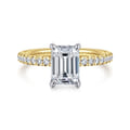 Stasia - 14K White-Yellow Gold Emerald Cut Diamond Engagement Ring