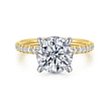 Stasia - 14K White-Yellow Gold Round Diamond Engagement Ring