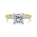 Stasia - 14K White-Yellow Gold Princess Cut Diamond Engagement Ring