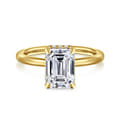 Rainah - 14K Yellow Gold Hidden Halo Emerald Cut Diamond Engagement Ring
