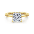 Rainah - 14K Yellow Gold Princess Diamond Engagement Ring