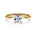 Ady - 14K White-Yellow Gold Cushion Hidden Halo Diamond Engagement Ring