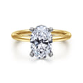 Ady - 14K White-Yellow Gold Hidden Halo Oval Diamond Engagement Ring