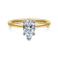 Ady - 14K White-Yellow Gold Hidden Halo Pear Shape Diamond Engagement Ring
