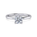 Ady - 14K White Gold Hidden Halo Round Diamond Engagement Ring