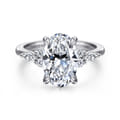 Avah - 14K White Gold Oval Diamond Cluster Engagement Ring