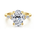 Avah - 14K Yellow Gold Oval Diamond Cluster Engagement Ring