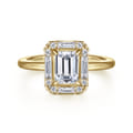 Cammie - 14K Yellow Gold Halo Emerald Cut Diamond Engagement Ring