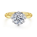 Blaise - 14K White-Yellow Gold Round Three Stone Diamond Engagement Ring