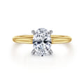 Ericka - 14K White and Yellow Gold Oval Diamond Engagement Ring