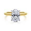 Ericka - 14K White and Yellow Gold Oval Diamond Engagement Ring