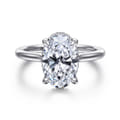 Aldon - 14K White Gold Oval Halo Diamond Engagement Ring