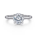 Aldon - Platinum Round Diamond Engagement Ring