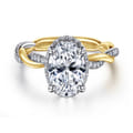 Ama - 14K White-Yellow Gold Oval Halo Diamond Engagement Ring