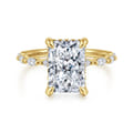 Adeena - 14K Yellow Gold Radiant Cut Hidden Halo Diamond Engagement Ring