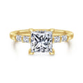 Eva - 14K Yellow Gold Princess Cut Diamond Engagement Ring