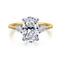 Sima - 14K White-Yellow Gold Oval Three Stone Diamond Engagement Ring