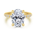 Kim - 14K Yellow Gold Oval Diamond Engagement Ring