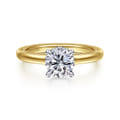 Sandi - 14K White-Yellow Gold Round Diamond Engagement Ring