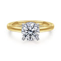 Sandi - 14K White-Yellow Gold Round Diamond Engagement Ring