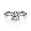 Sandi - Platinum Round Diamond Engagement Ring