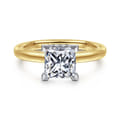 Sandi - 14K White-Yellow Gold East West Princess Cut Diamond Engagement Ring