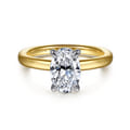Grasey - 14K White-Yellow Gold Oval Diamond Engagement Ring