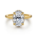 Bonnie - 14K Yellow Gold Oval Hidden Halo Diamond Engagement Ring