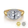 Fillipa - 14K White-Yellow Gold Oval Double Halo Diamond Engagement Ring