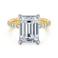 Winslow - 14K White-Yellow Gold Emerald Cut Diamond Engagement Ring