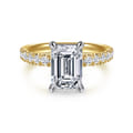 Winslow - 14K White-Yellow Gold Emerald Cut Diamond Engagement Ring