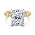 Winslow - 14K White-Yellow Gold Elongated Cushion Diamond Engagement Ring