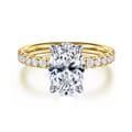 Winslow - 14K White-Yellow Gold Oval Diamond Engagement Ring