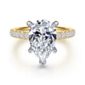 Winslow - 14K White-Yellow Gold Pear Shape Diamond Engagement Ring
