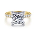Winslow - 14K White-Yellow Gold Princess Cut Diamond Engagement Ring
