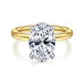 Lua - 14K White-Yellow Gold Hidden Halo Oval Diamond Engagement Ring