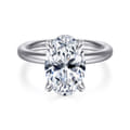 Lua - 14K White Gold Hidden Halo Oval Diamond Engagement Ring