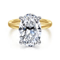 Lua - 14K White-Yellow Gold Hidden Halo Oval Diamond Engagement Ring