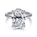 Lua - 14K White Gold Hidden Halo Oval Diamond Engagement Ring